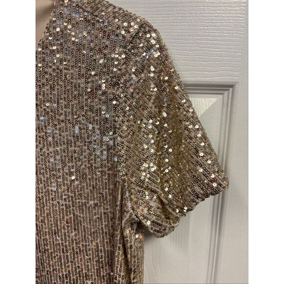 Rose Gold Sequin Embellished Dress - Picture 3 of 5